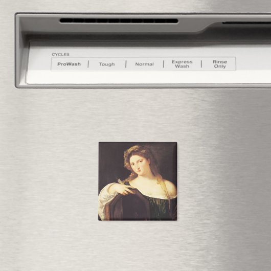 虚栄心の寓話 マグネット (インサイチュ (食洗機))