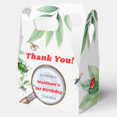 虫と虫のヴィンテージ男の子の誕生日パーティー フェイバーボックス (オープン)