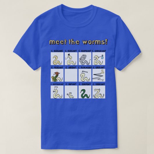 虫に会う Tシャツ (デザイン正面)