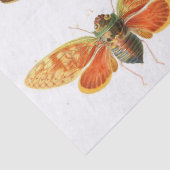 虫のがらくたジャーナル要素シート 薄葉紙 (詳細)