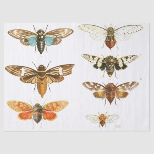 虫のがらくたジャーナル要素シート 薄葉紙 (正面)