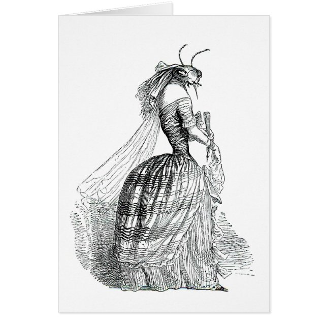 虫のざわめき (正面)