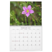 虫の世界と怖い人が這い回る カレンダー (2月 2027)