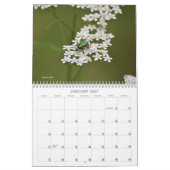 虫の世界と怖い人が這い回る カレンダー (1月 2027)