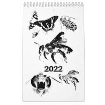 虫の世界-虫- 2022年暦