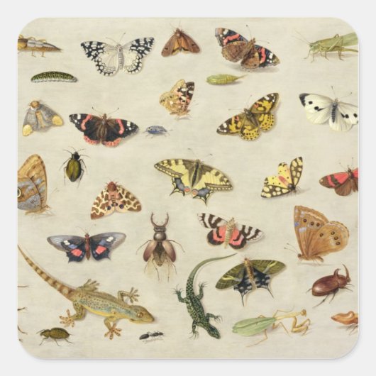 虫の勉強 スクエアシール (正面)