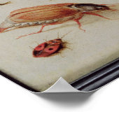 虫の勉強 ポスター (角)