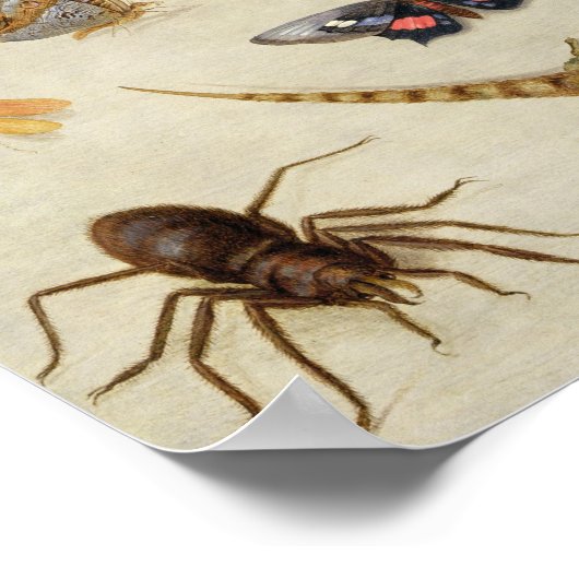 虫の勉強 ポスター (角)