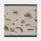 虫の勉強 マグネット (正面)