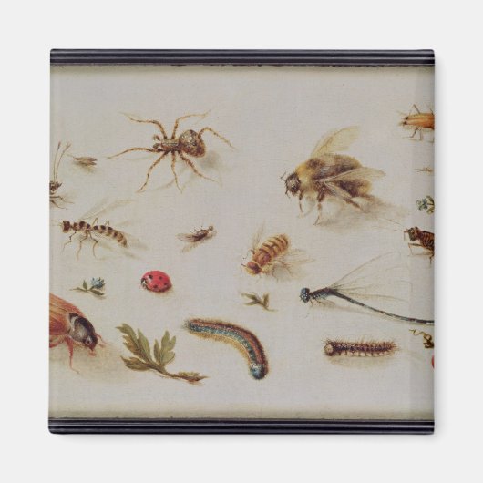 虫の勉強 マグネット (正面)