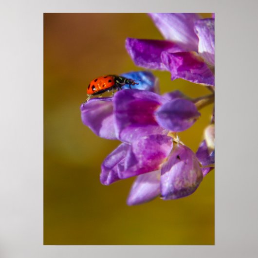 虫の命。 ポスター (正面)