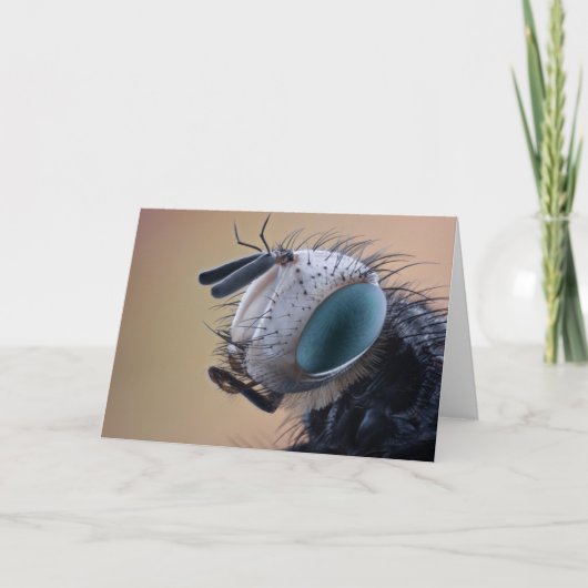 虫の巣頭を閉じる カード (正面)