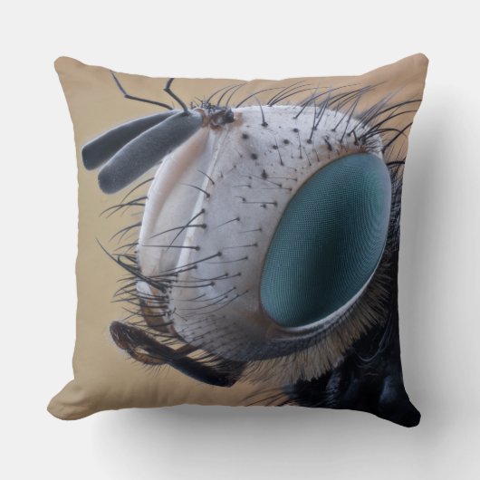 虫の巣頭を閉じる クッション (正面)