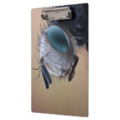 虫の巣頭を閉じる クリップボード (左)