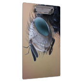 虫の巣頭を閉じる クリップボード (右)