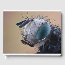 虫の巣頭を閉じる