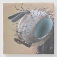 虫の巣頭を閉じる