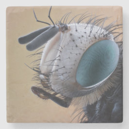 虫の巣頭を閉じる ストーンコースター