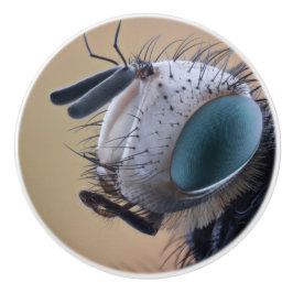 虫の巣頭を閉じる セラミックノブ