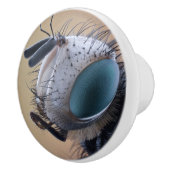 虫の巣頭を閉じる セラミックノブ (右)