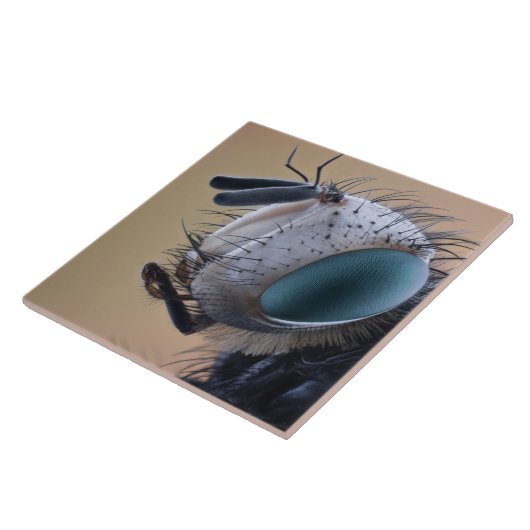 虫の巣頭を閉じる タイル (側面)