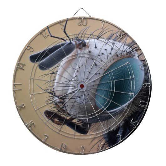 虫の巣頭を閉じる ダーツボード (正面)