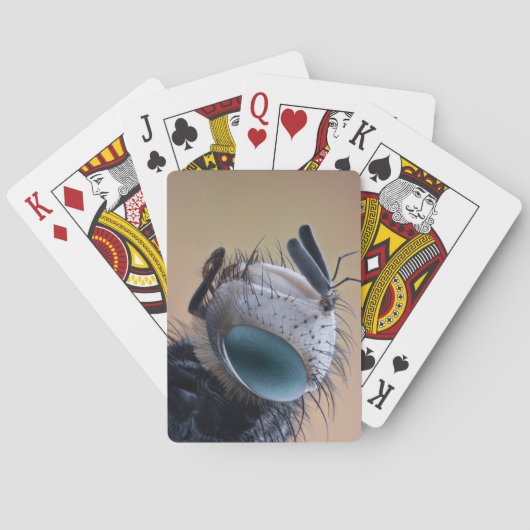 虫の巣頭を閉じる トランプ (裏面)