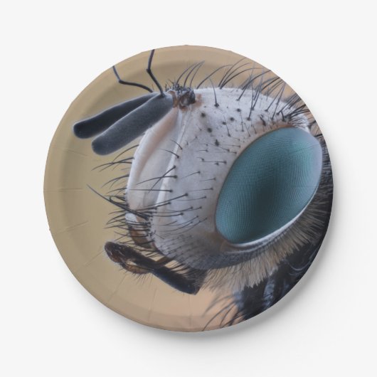 虫の巣頭を閉じる ペーパープレート (正面)