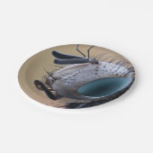 虫の巣頭を閉じる ペーパープレート (アングル)