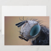 虫の巣頭を閉じる 便箋 (正面/裏面)