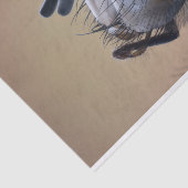 虫の巣頭を閉じる 薄葉紙 (詳細)