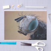 虫の巣頭を閉じる 薄葉紙 (クラフト)