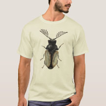 虫の恋人の芸術：クール Beetle