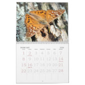 虫の愛 カレンダー (2月 2026)