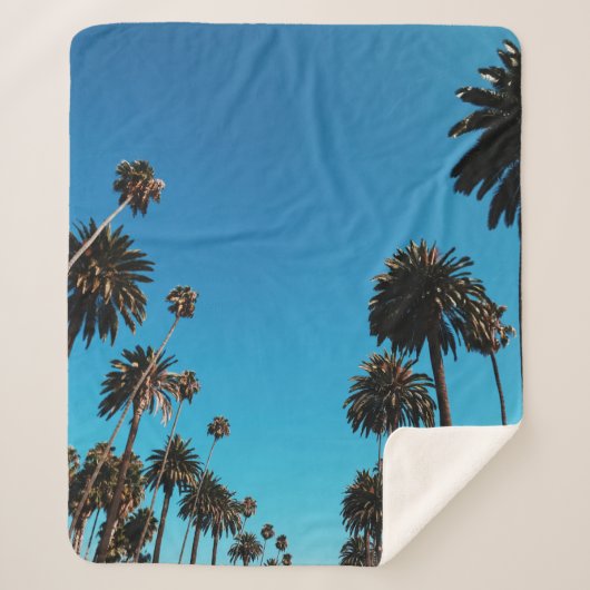 虫の目から見る木 シェルパブランケット (正面)