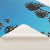 虫の目から見る木 シェルパブランケット (3/4)