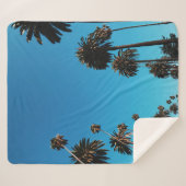 虫の目から見る木 シェルパブランケット (正面(横))