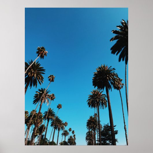 虫の眼差し ポスター (正面)