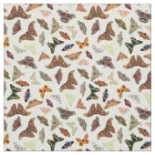 虫の美しい自然 ファブリック (見本)