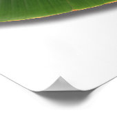 虫の葉の食べ世界の地図 ポスター (角)