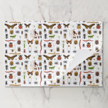 虫の誕生日パーティー紙ランチョンマット