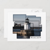 虫の軽い絵画 ポストカード (正面/裏面)