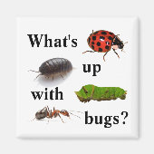 虫はどうした？磁石 マグネット (正面)