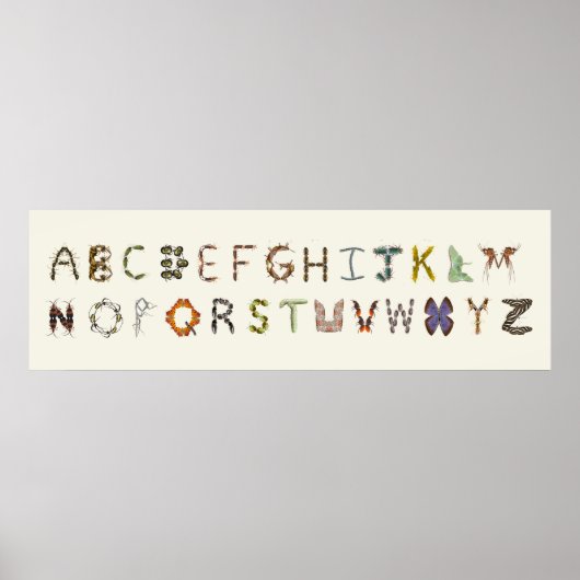 虫よけ昆虫または虫のアルファベット教育 ポスター (正面)