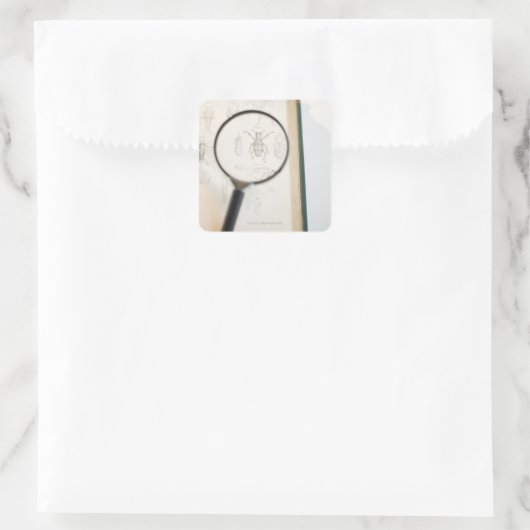 虫を見せる本の上の虫眼鏡 スクエアシール (バッグ)