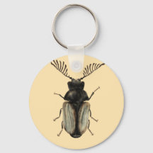 虫カッコいい虫の恋人entomology art