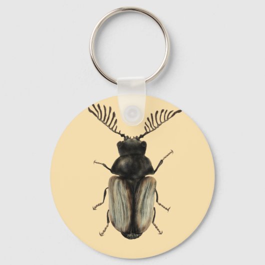 虫カッコいい虫の恋人entomology art キーホルダー (正面)