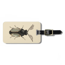 虫カッコいい虫の恋人entomology art