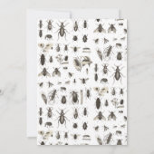 虫テーマ誕生会 (裏面)