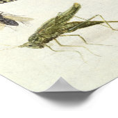 虫勉強 ポスター (角)